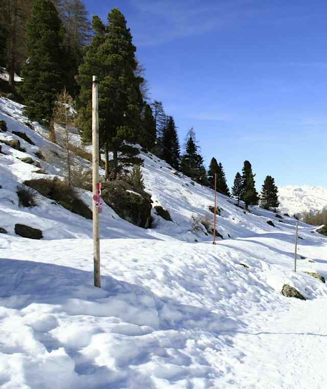 Winterwanderweg von Siviez zur Plan de Poé