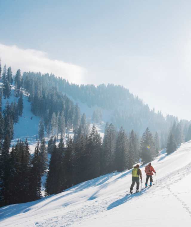 Skitour auf die Wandflue