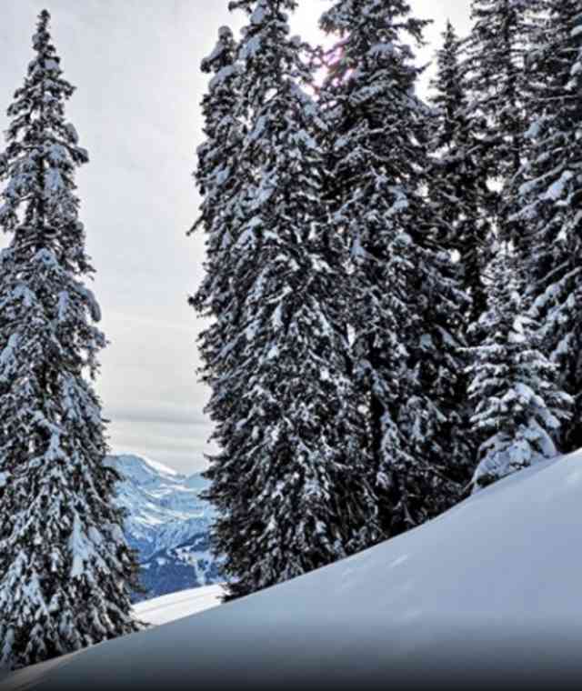 Skitour Rellerli