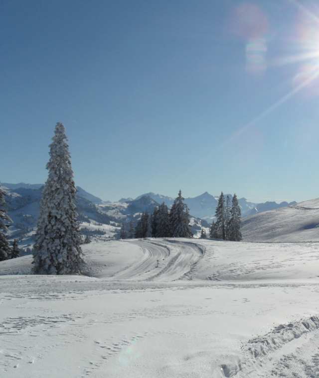 Wunderschöne Winterlandschaft der Site Alp