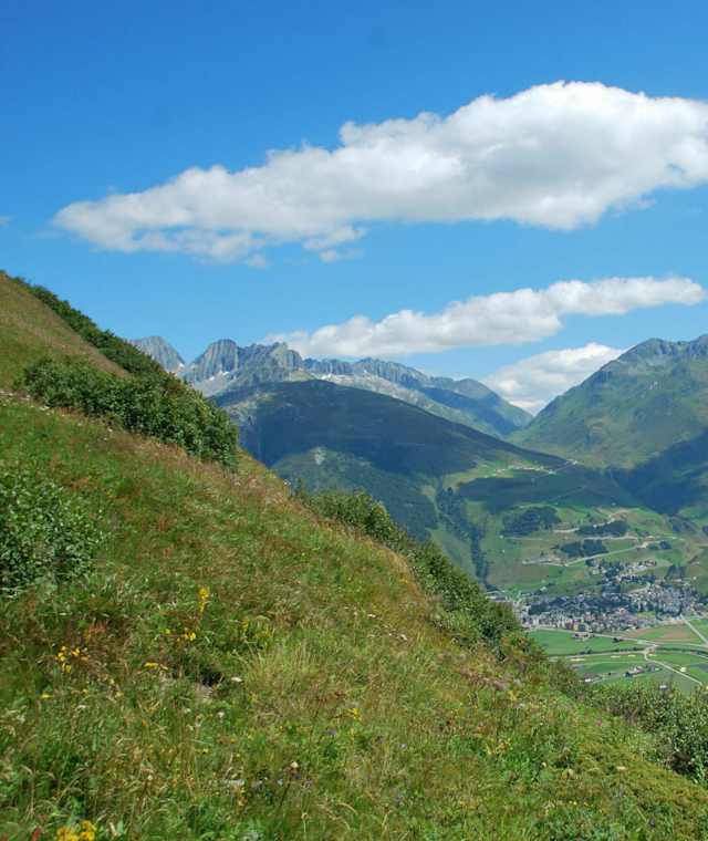 Panorama