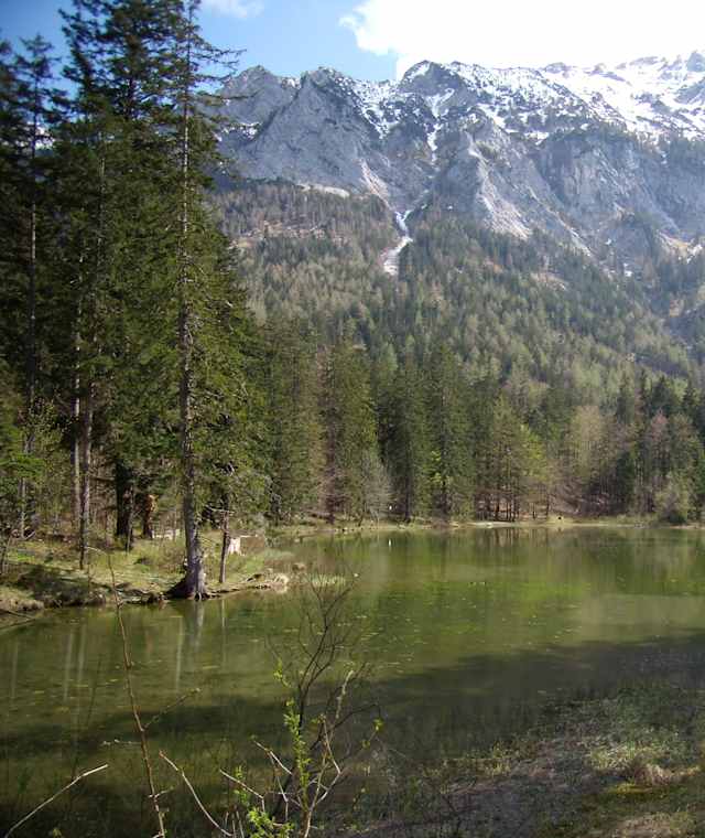 Taferlklause