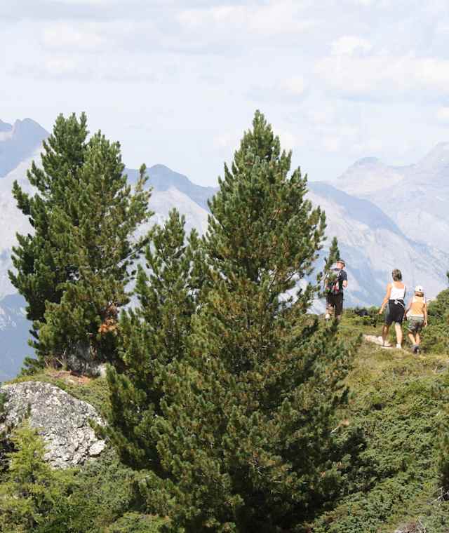 Wanderung von Thyon entlang der Bisse De Chervé nach Combatseline