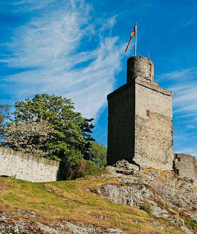Burgruine Falkenstein