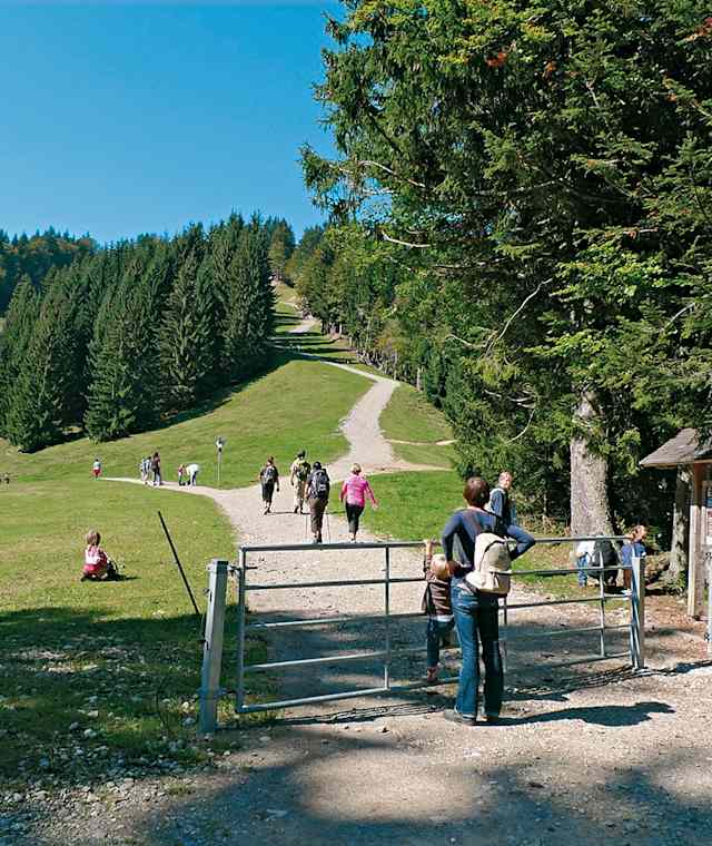 Die Wege sind größtenteils gut mit dem Kinderwagen befahrbar.