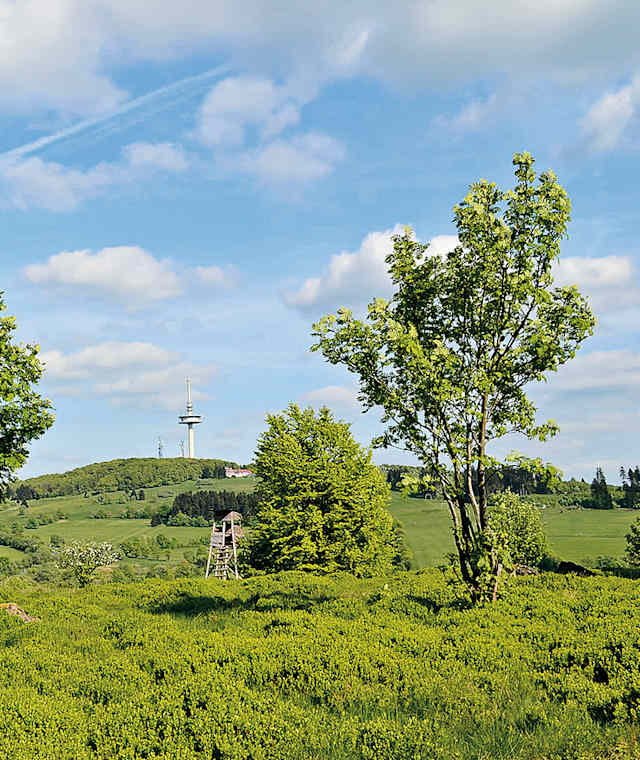 Blick vom Gackerstein zum Hoherodskopf