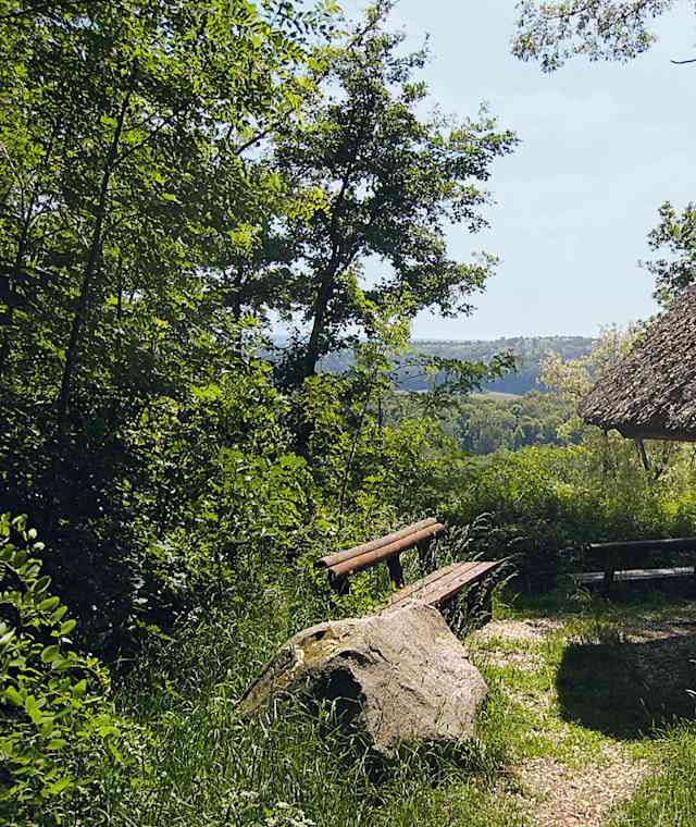 Aussicht vom Dachsberg.