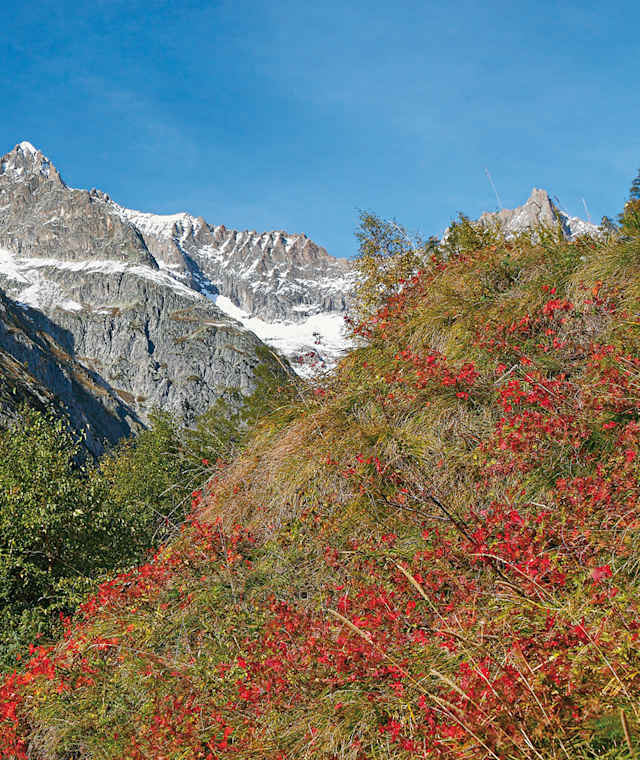 Beim Aufstieg nach Eril putzt sich die Bietschhorngruppe immer prächtiger heraus.