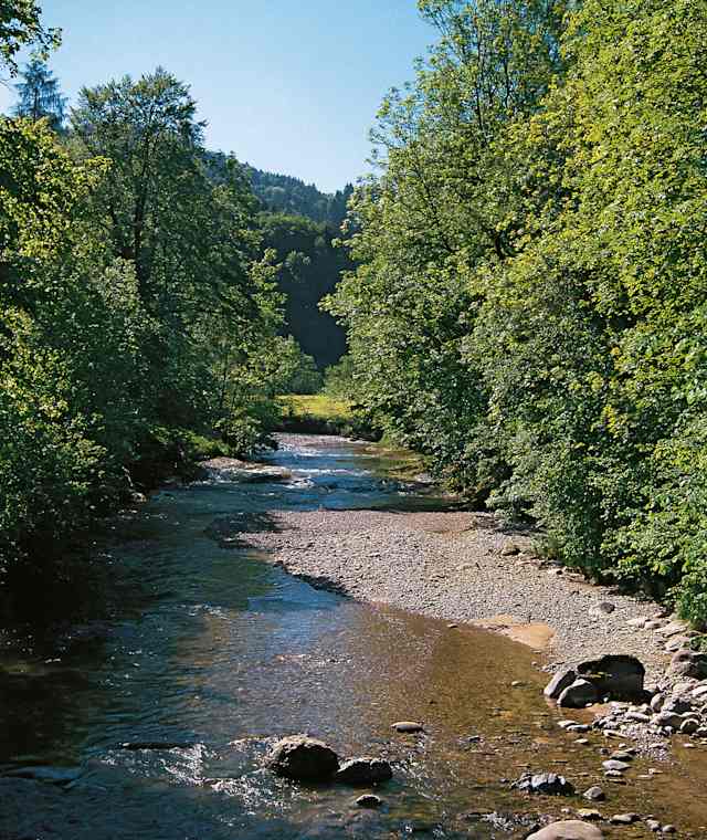 Necker nahe Mogelsberg.