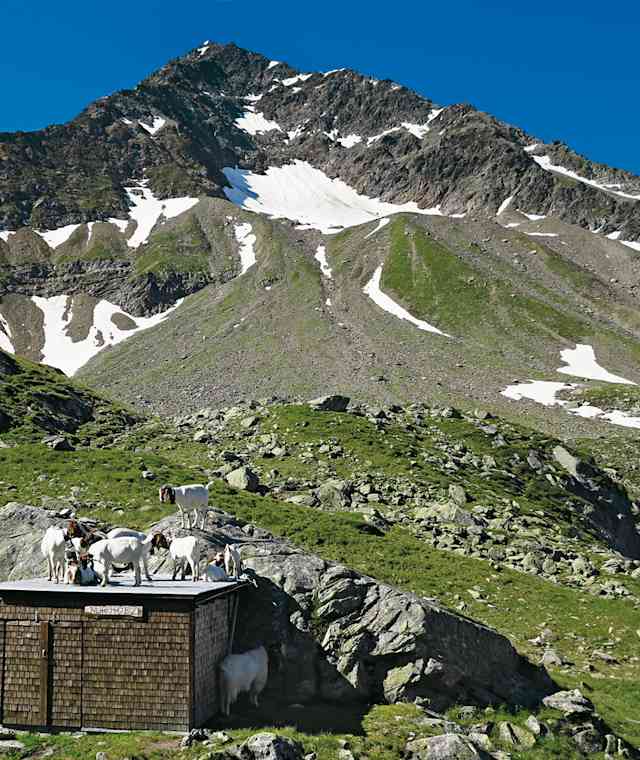 Blick von der Veranda der Bristenseehütte Richtung Holzvorrat, dessen Bewacher, und Gipfel.  Am niedrigsten Punkt im Nordostgrat findet sich der Übergang auf den Grat.