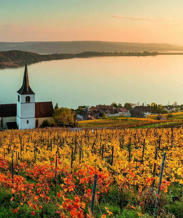 Herbstpanorama bei Ligerz