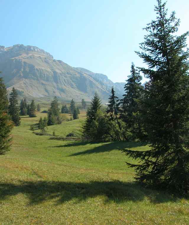 Moorlandschaftspfad Kleine Entle