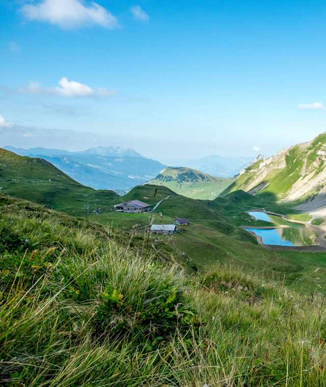 Auf der zweiten Etappe des Steinbock-Treks