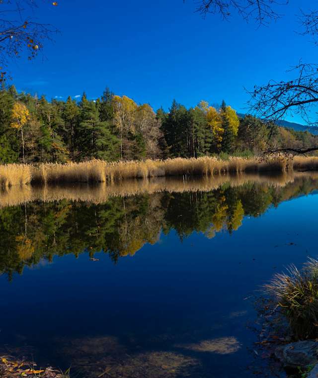 Am Vahrner See