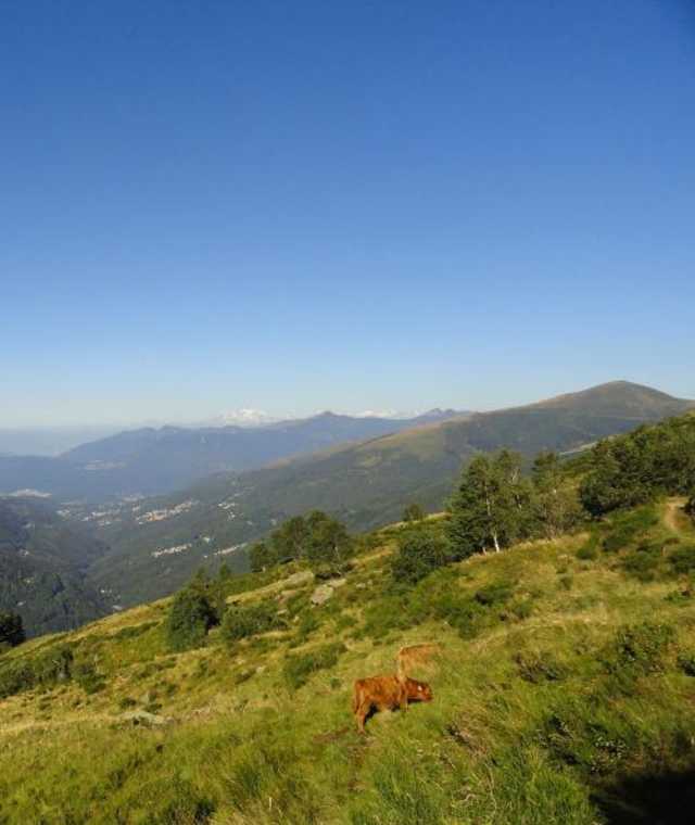 Wunderschöne Aussichten