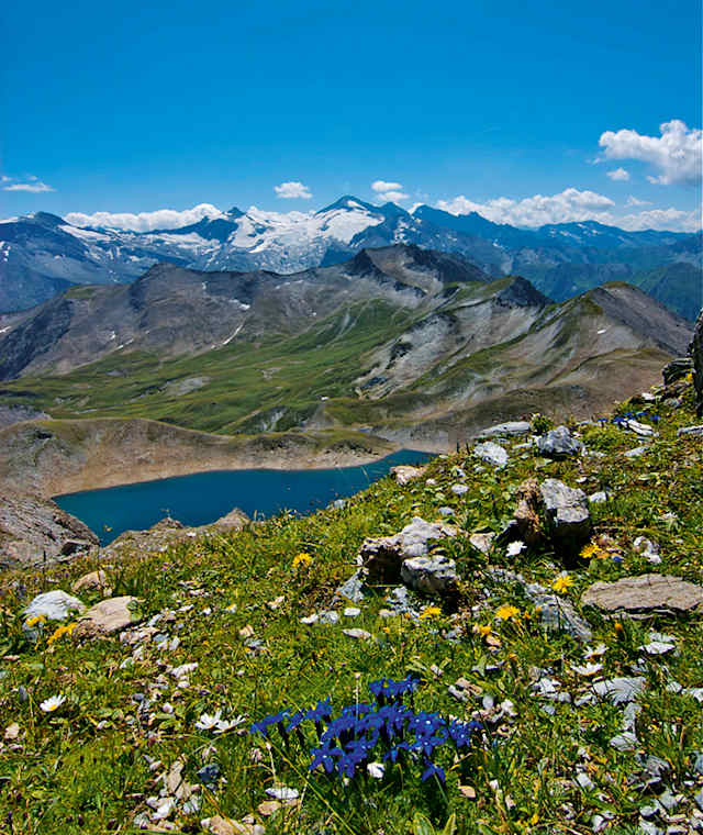 Genialer Ausblick auf den Weiterweg: der enzianblaue Junssee, der begrünte Gschützspitzsattel; dahinter der Olperer mit Tuxer Ferner und links davon schon die Friesenbergscharte.