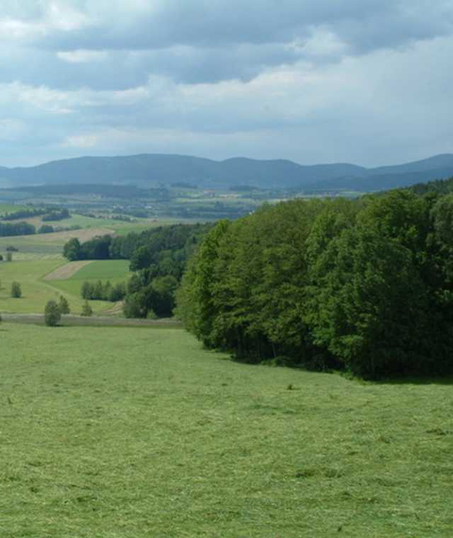Goldsteig - Nordvariante - Etappe 11: Von Furth im Wald nach Schönbuchen