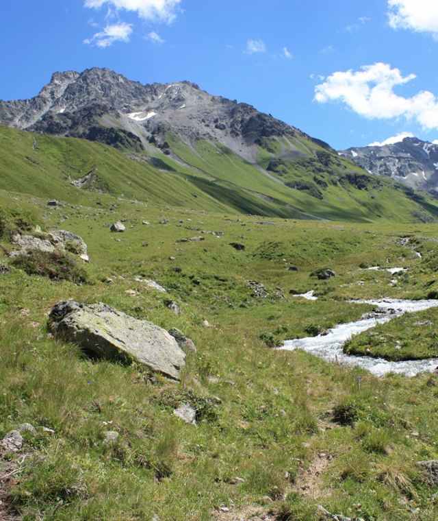 Alp d´Err