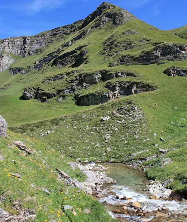 Der Riedbodabach