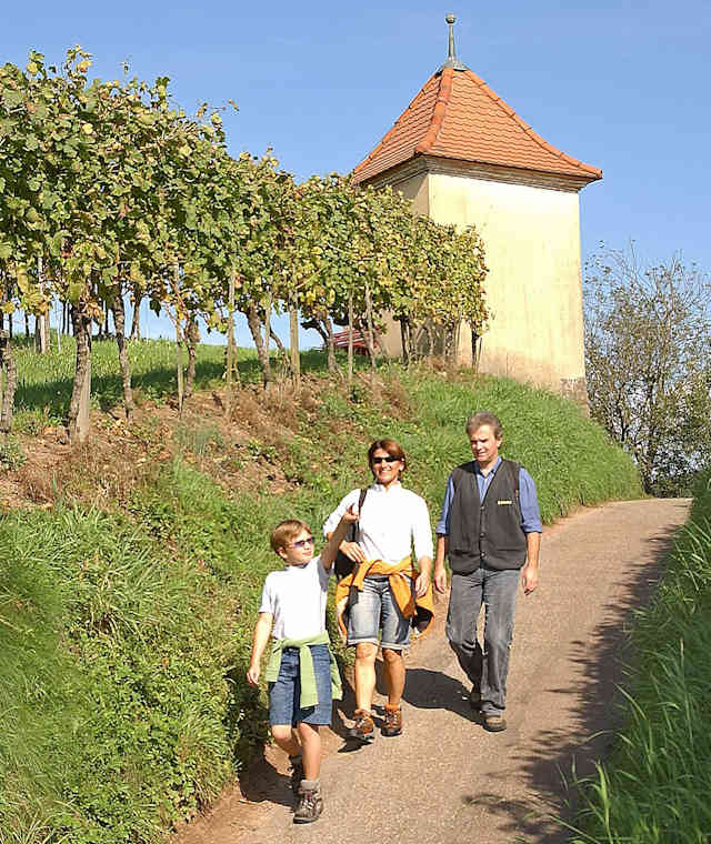 Am Bergle oberhalb von Gengenbach
