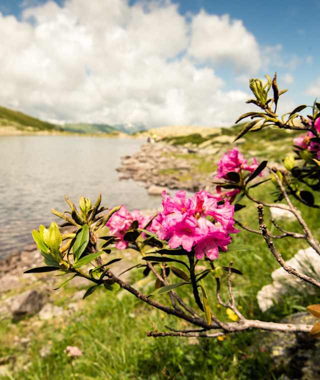 Wandern am Palfnersee