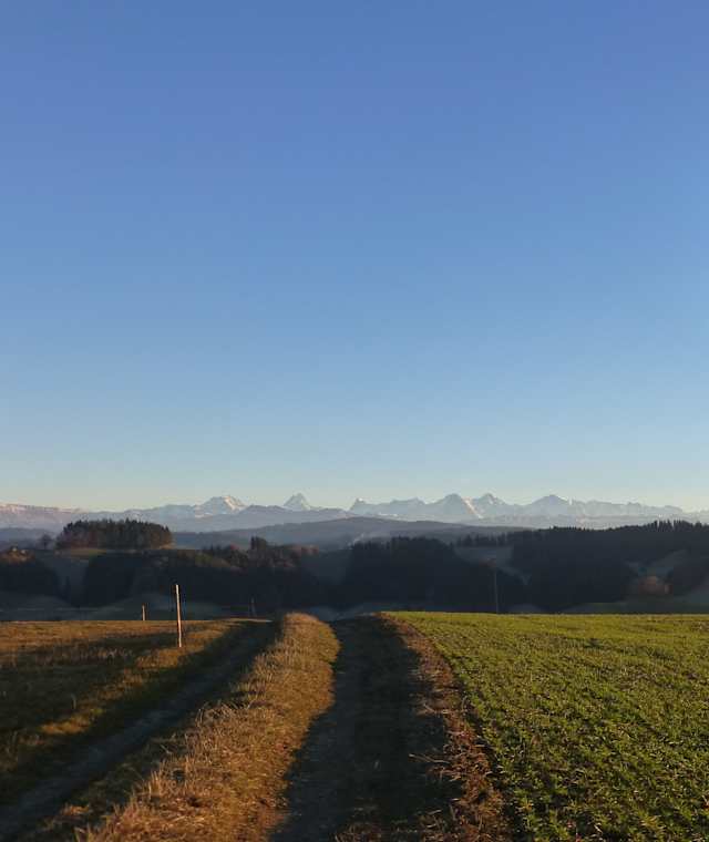 Aussichtspunkt Wasenegg Oberburg