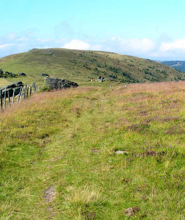 Weberkogel