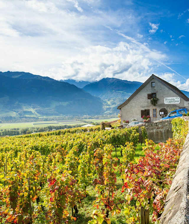 Besonders farbenfroh ist diese Wanderung im Herbst