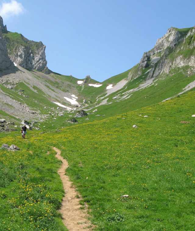 Die Widderalp