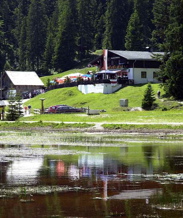 Wildmoosalm
