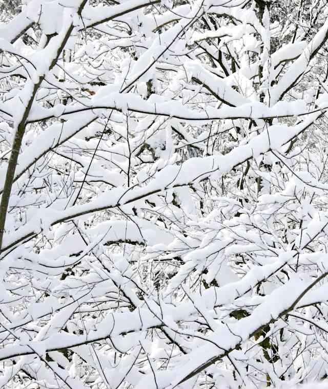Winterlandschaft Baiersbronn