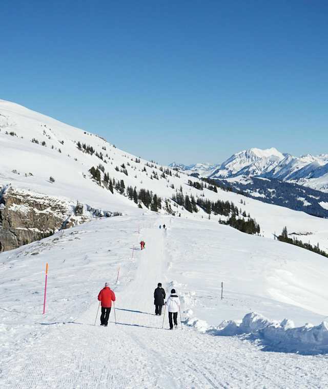 Winterwanderweg Niederhorn - Waldegg