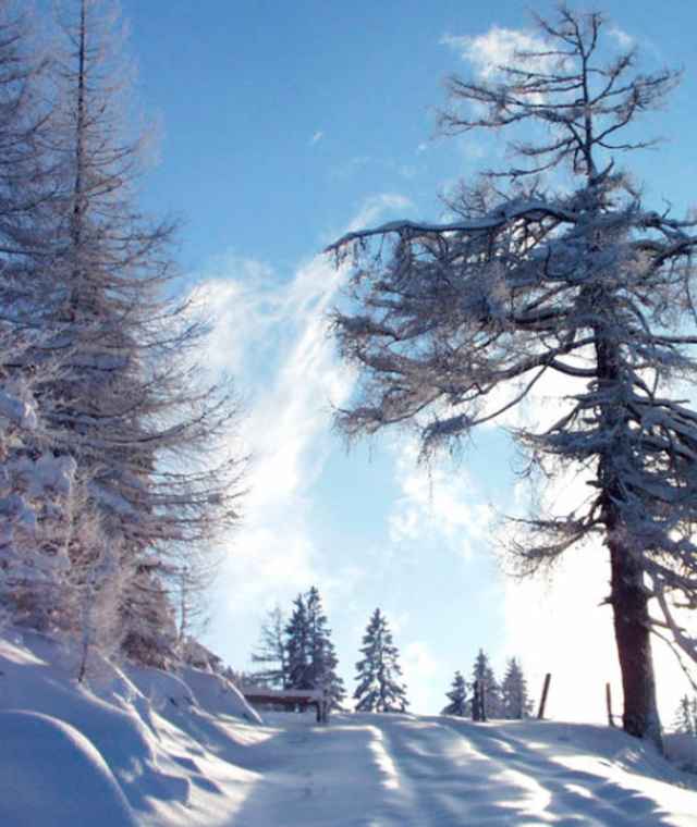 Winterlandschaft 