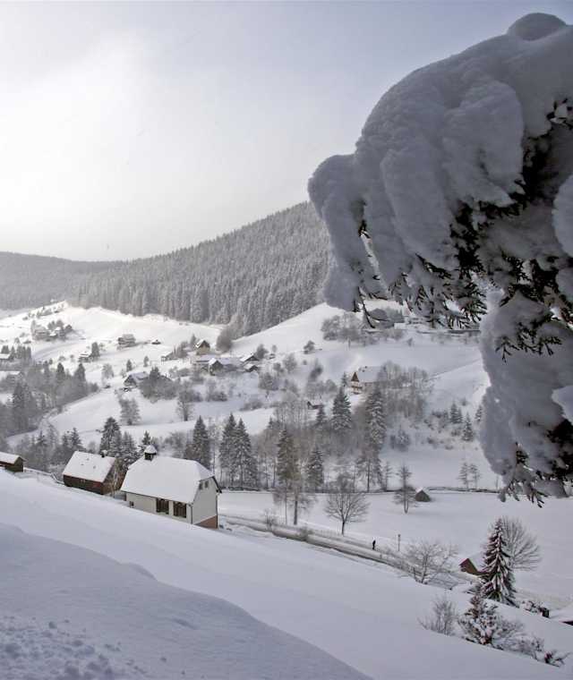 Winterwanderung zur Blockhütte