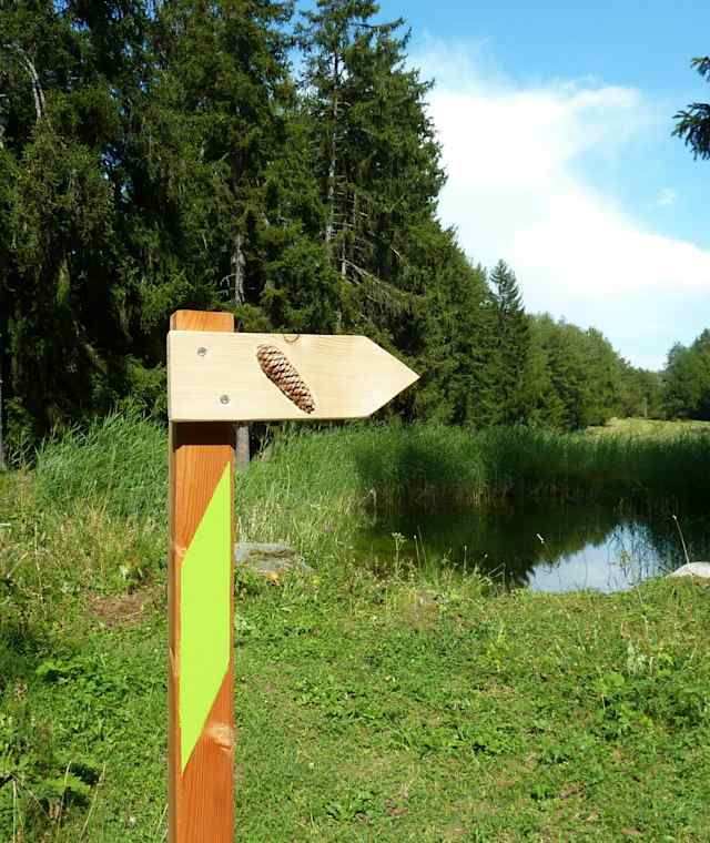 Auf dem Zapfenweg in Nendaz