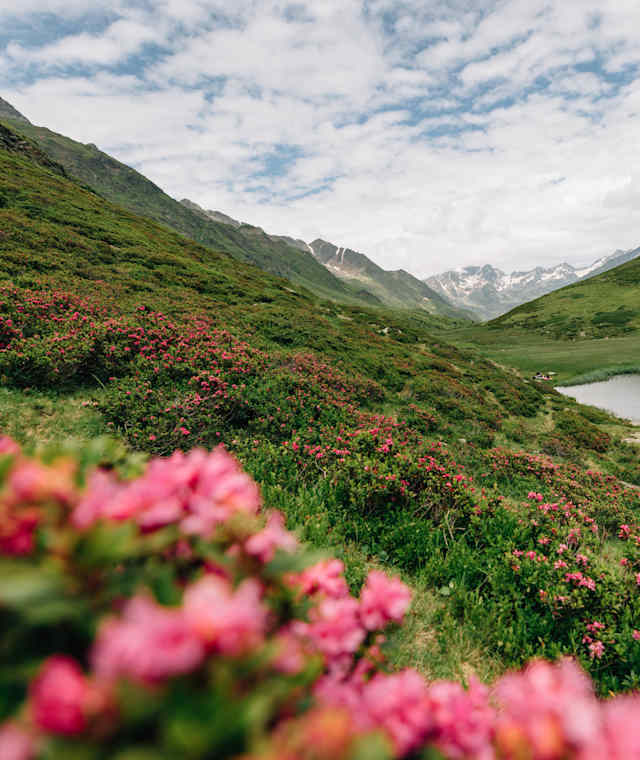 Am Weg zur Speikspitze
