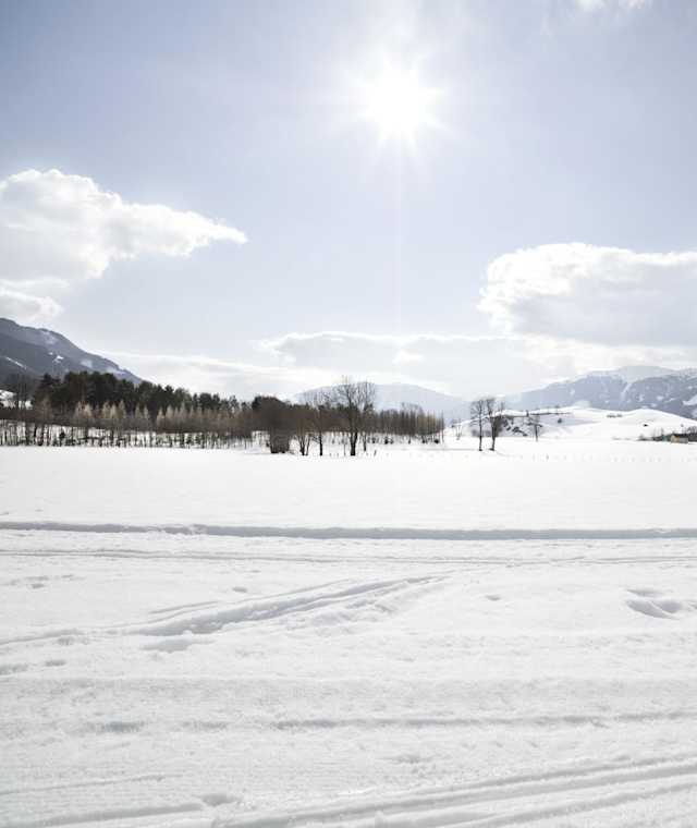 Winterwanderung Urslautal