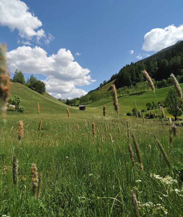 Etappe 06: Matrei in Osttirol - Sudetendeutsche Hütte