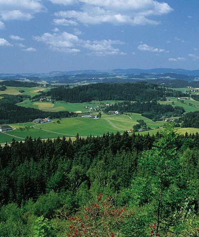 Ahorner Rundweg