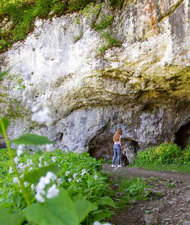 Eiszeitpfad - Neandertalerweg
