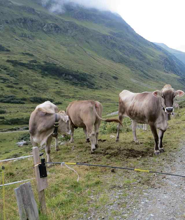 Alpencross auf der Albrechtroute