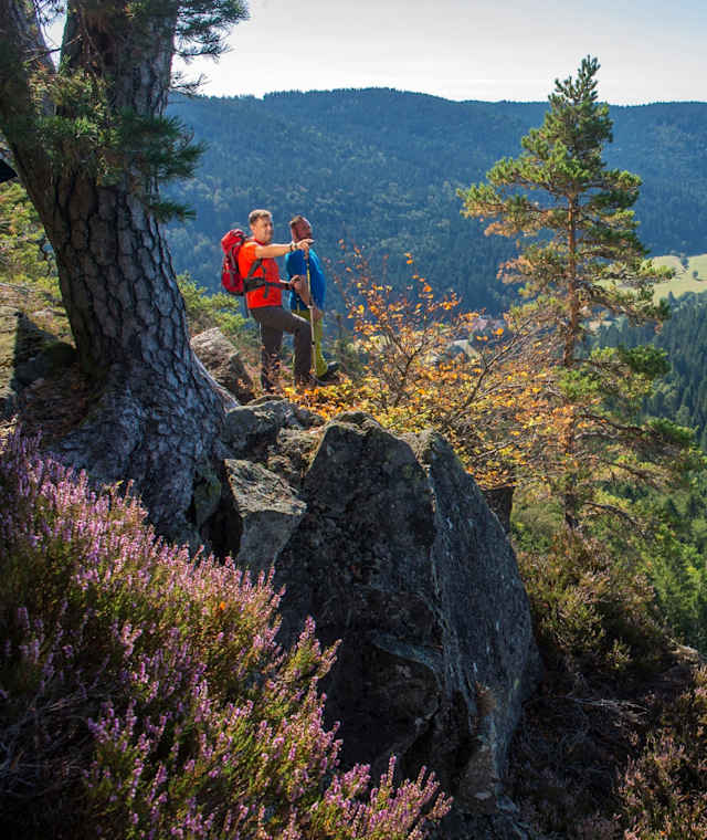Bildsteinfelsen mit Ausblick ins Albtal