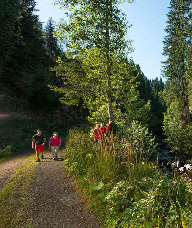 Albweg bei Glashofsäge, St. Blasien