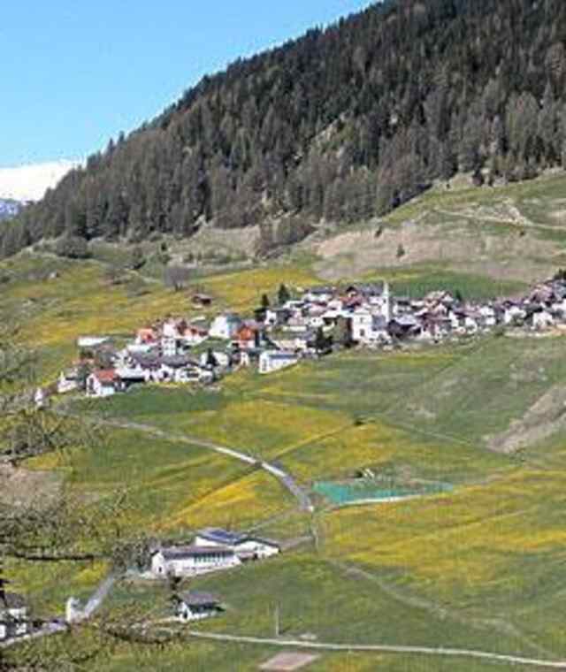 Albulatour