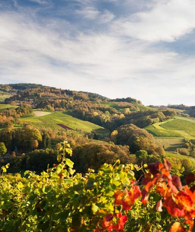 Alde Gott Panoramaweg