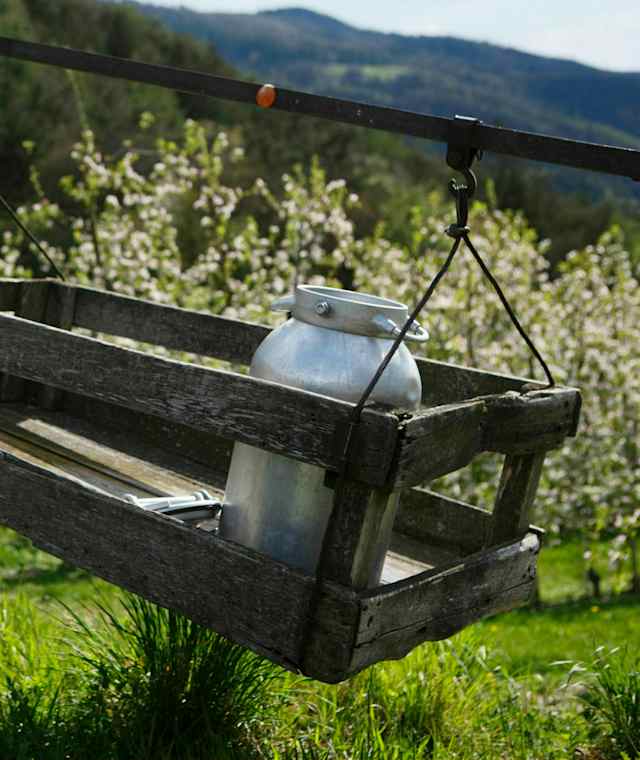 Eindrücke am Naturnser Sonnenberg
