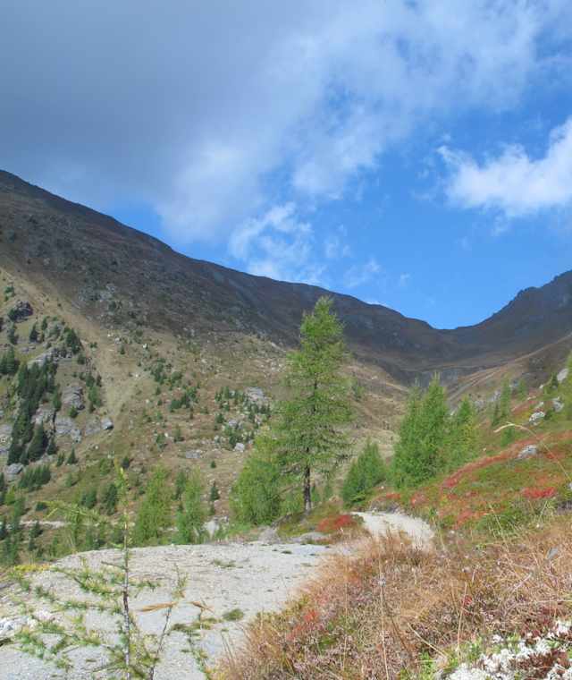 Blick zum Karnischen Kamm