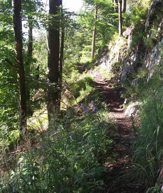 Der Anstieg von Zwing/Inzell Richtung Keitlalm