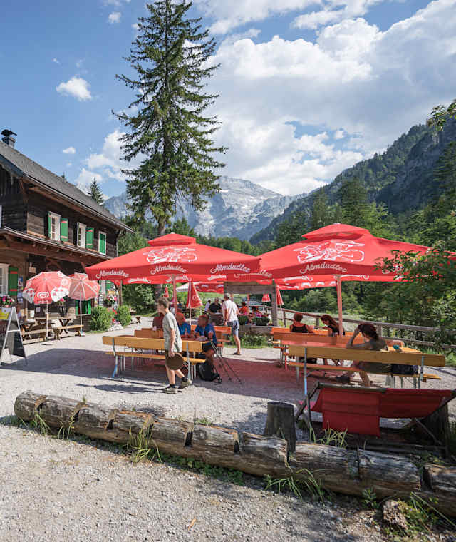 Reges Treiben am Almtalerhaus