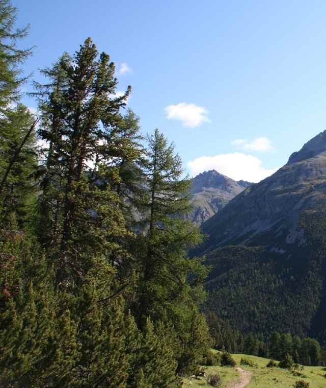 Abzweigung